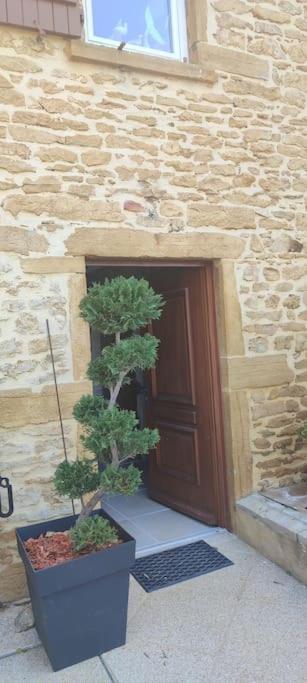 Le Gite Des Pierres Dorees Marcilly-d'Azergues Bagian luar foto